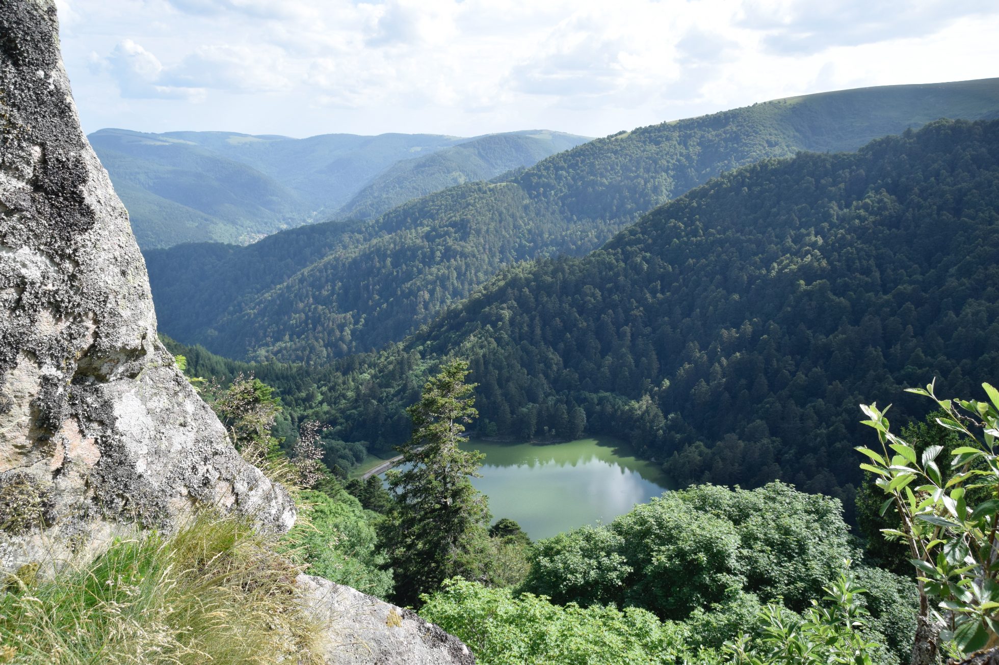 Góry Wogezy we Francji, przyroda Francji